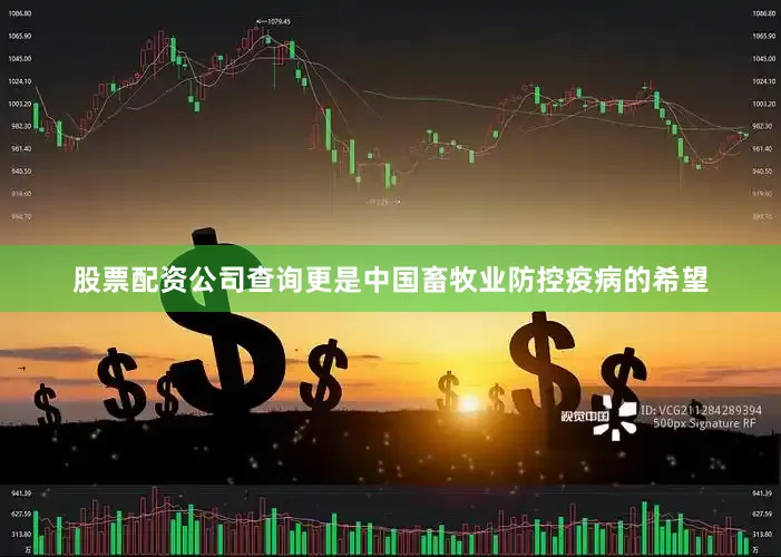 股票配资公司查询更是中国畜牧业防控疫病的希望
