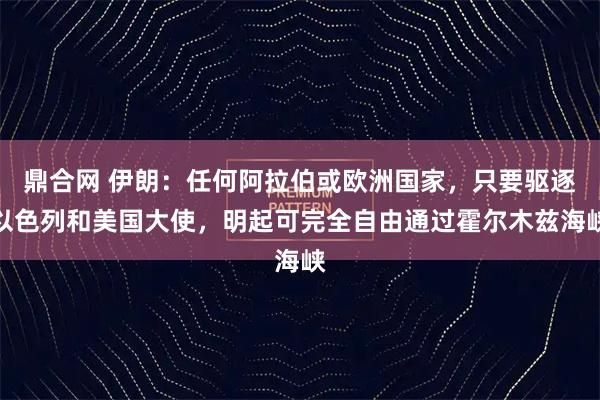 鼎合网 伊朗：任何阿拉伯或欧洲国家，只要驱逐以色列和美国大使，明起可完全自由通过霍尔木兹海峡