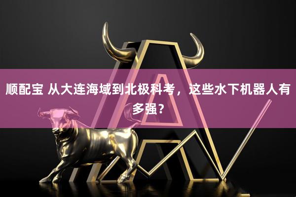 顺配宝 从大连海域到北极科考,这些水下机器人有多强?