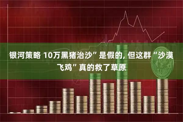 银河策略 10万黑猪治沙”是假的, 但这群“沙漠飞鸡”真的救了草原