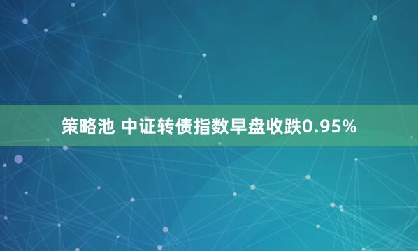 策略池 中证转债指数早盘收跌0.95%